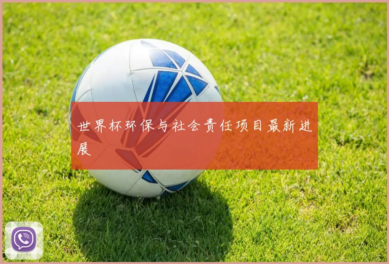 世界杯环保与社会责任项目最新进展
