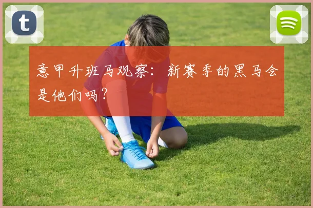 意甲升班马观察:新赛季的黑马会是他们吗?